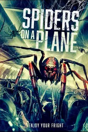 Spiders on a Plane