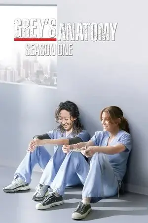 Grey's Anatomy الموسم 1