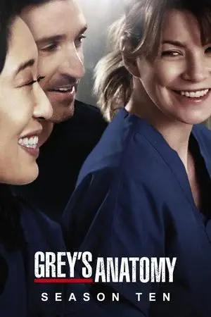 Grey's Anatomy الموسم 10