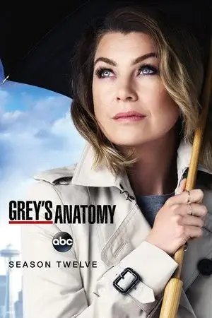 Grey's Anatomy الموسم 12