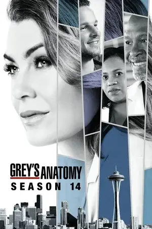 Grey's Anatomy الموسم 14