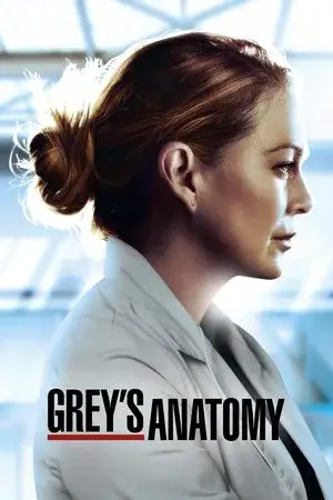 Grey's Anatomy الموسم 17