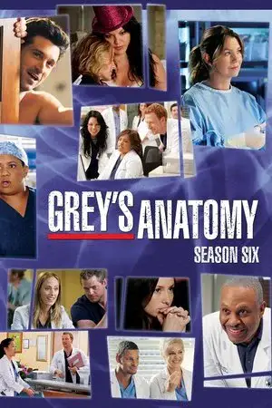 Grey's Anatomy الموسم 6