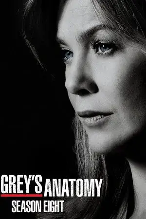 Grey's Anatomy الموسم 8