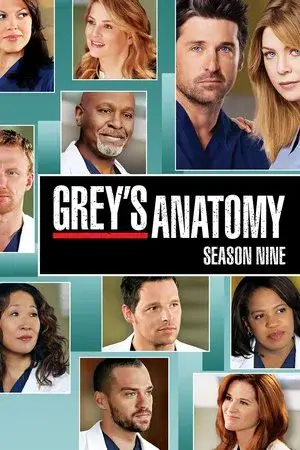 Grey's Anatomy الموسم 9