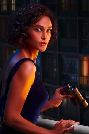 Lady Voyeur الموسم 1