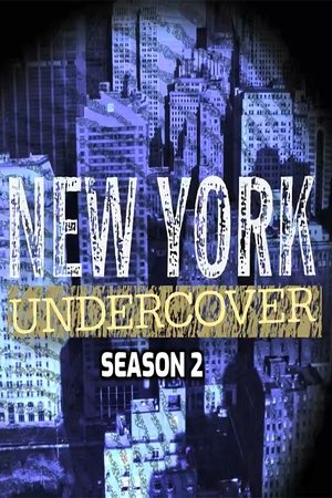 New York Undercover الموسم 2
