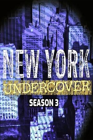 New York Undercover الموسم 3